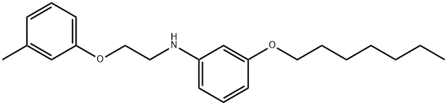 3-(Heptyloxy)-N-[2-(3-methylphenoxy)ethyl]aniline Structure