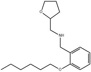 [2-(Hexyloxy)phenyl]-N-(tetrahydro-2-furanylmethyl)methanamine Structure
