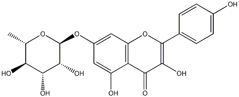 ケンペロール7-O-ラムノシド 化学構造式