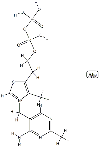 Cocarboxylase Structure
