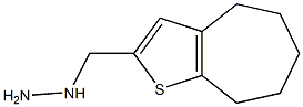 1-{4H,5H,6H,7H,8H-cyclohepta[b]thiophen-2-ylmethyl}hydrazine