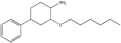 2-(hexyloxy)-4-phenylcyclohexan-1-amine 结构式