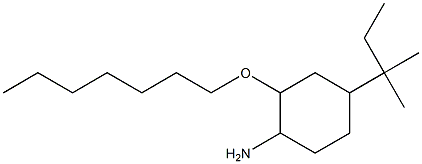 2-(heptyloxy)-4-(2-methylbutan-2-yl)cyclohexan-1-amine Structure