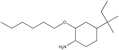 2-(hexyloxy)-4-(2-methylbutan-2-yl)cyclohexan-1-amine 结构式