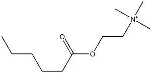 2-(Hexanoyloxy)-N,N,N-trimethylethanaminium Structure