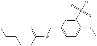 5-(hexanamidomethyl)-2-methoxybenzene-1-sulfonyl chloride 结构式