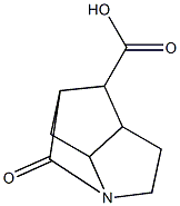 (hexahydro-5-oxo-1H-pyrrolizinyl-1-yl)acetic acid Structure