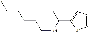 hexyl[1-(thiophen-2-yl)ethyl]amine