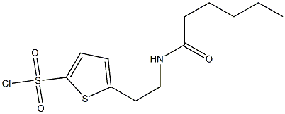 5-(2-hexanamidoethyl)thiophene-2-sulfonyl chloride Structure