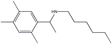 hexyl[1-(2,4,5-trimethylphenyl)ethyl]amine|
