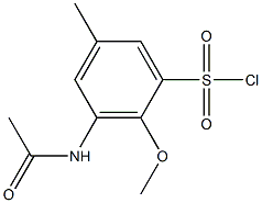 3-acetamido-2-methoxy-5-methylbenzene-1-sulfonyl chloride Structure