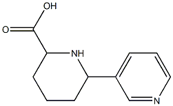 1,2,3,4,5,6-Hexahydro[2,3'-bipyridine]-6-carboxylic acid 结构式