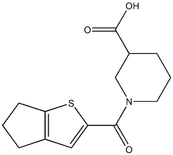 1-{4H,5H,6H-cyclopenta[b]thiophen-2-ylcarbonyl}piperidine-3-carboxylic acid