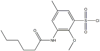 3-hexanamido-2-methoxy-5-methylbenzene-1-sulfonyl chloride