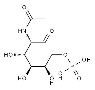 2-acetamido-2-deoxy-mannose-6-phosphat|