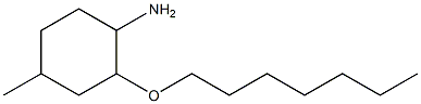 2-(heptyloxy)-4-methylcyclohexan-1-amine Structure