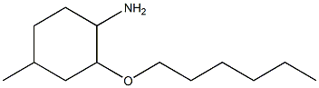 2-(hexyloxy)-4-methylcyclohexan-1-amine 结构式