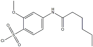 4-hexanamido-2-methoxybenzene-1-sulfonyl chloride Structure