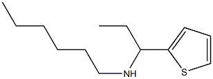 hexyl[1-(thiophen-2-yl)propyl]amine