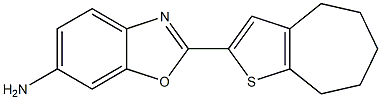 2-{4H,5H,6H,7H,8H-cyclohepta[b]thiophen-2-yl}-1,3-benzoxazol-6-amine