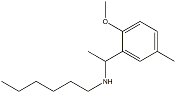 hexyl[1-(2-methoxy-5-methylphenyl)ethyl]amine