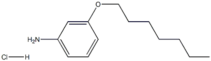 3-(heptyloxy)aniline hydrochloride