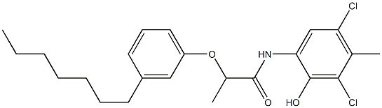 2-[2-(3-Heptylphenoxy)propanoylamino]-4,6-dichloro-5-methylphenol|