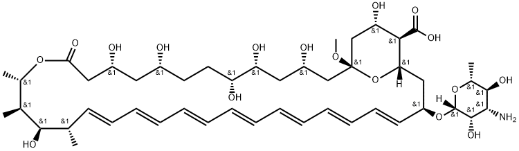 Amphotericin X1 (13-O-Methyl Amphotericin B) Structure
