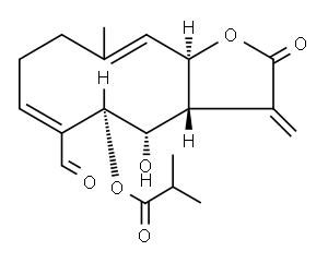 Acantholide Structure
