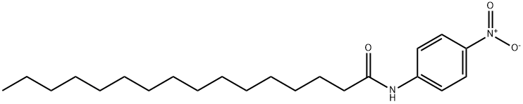 HexadecanaMide, N-(4-nitrophenyl)-|