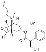 3-Oxa-9-azoniatricyclo-(3.3.1.02,4)nonan, 9-butyl-7-(3-hydroxy-1-oxo-2-phenylpropoxy)-9-methylbromid,(7(S)-(1 alpha, 2 beta, 4 beta,5 alpha, 7 beta)-
