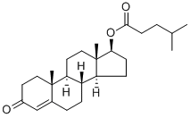 Testosterone isocaproate Struktur