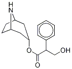 Noratropine Structure