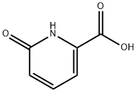 6-Hydroxypicolinic acid|6-羟基吡啶-2-羧酸