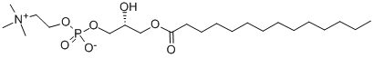 1-十四酰-2-羟基卵磷脂, 20559-16-4, 结构式