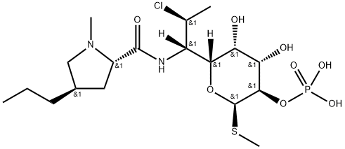 Clindamycin phosphate|克林霉素磷酸酯