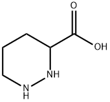 六氢哒嗪-3-羧酸 结构式