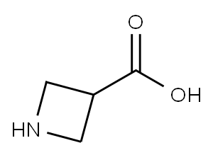 アゼチジン-3-カルボン酸 化学構造式
