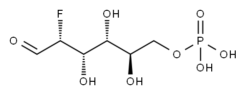 2-FLUORO-2-DEOXY-D-GLUCOSE-6-PHOSPHATE*B ARIUM|2-脱氧-2-氟-D-葡萄糖6-磷酸钡盐