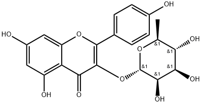 3-[(6-デオキシ-α-L-マンノピラノシル)オキシ]-5,7-ジヒドロキシ-2-(4-ヒドロキシフェニル)-4H-1-ベンゾピラン-4-オン