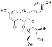 Kaempferol 3-arabinofuranoside|胡桃宁