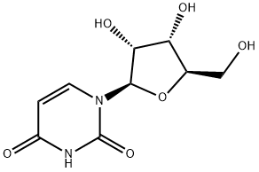 Uridine|尿苷