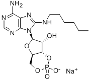 8- HEXYLAMINOADENOSINE- 3', 5'- CYCLIC MONOPHOSPHATE ( 8-HA-CAMPナトリウム塩 ) 化学構造式