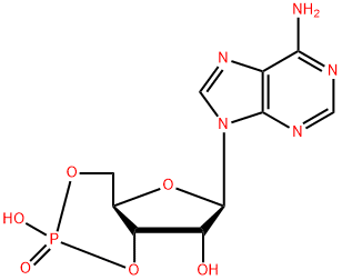 アデノシン3',5'-りん酸 化学構造式