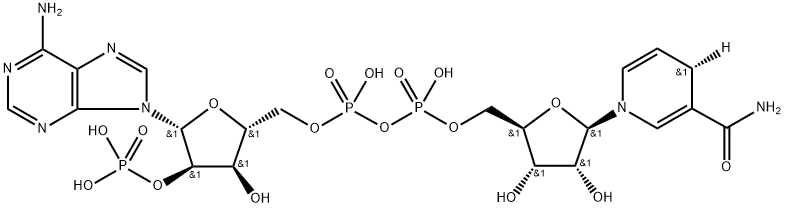 β-NADPH-D Struktur