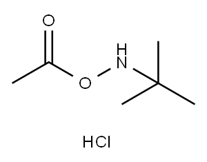 O-Acetyl-N-tert-butylhydroxylamine Hydrochloride|O-乙酰基-N-叔丁基羟胺盐酸盐