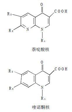 喹诺酮类药物母核主要有两种结构