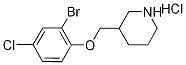 3-[(2-Bromo-4-chlorophenoxy)methyl]piperidinehydrochloride Structure