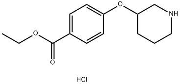 Ethyl 4-(3-piperidinyloxy)benzoate hydrochloride Struktur