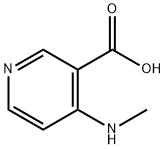 4-(methylamino)nicotinic acid|4-(甲基氨基)烟酸